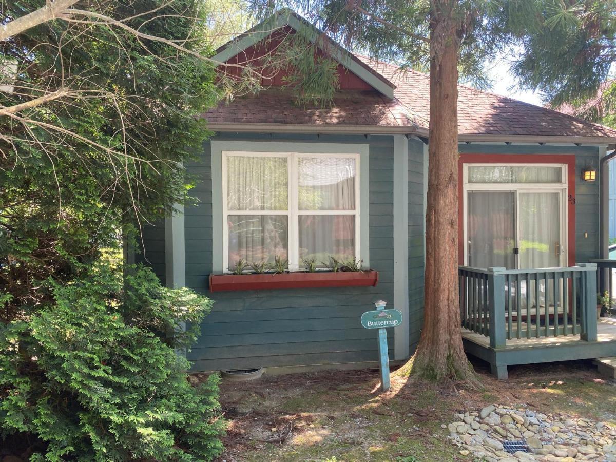 Buttercup Cottage Asheville Exterior photo