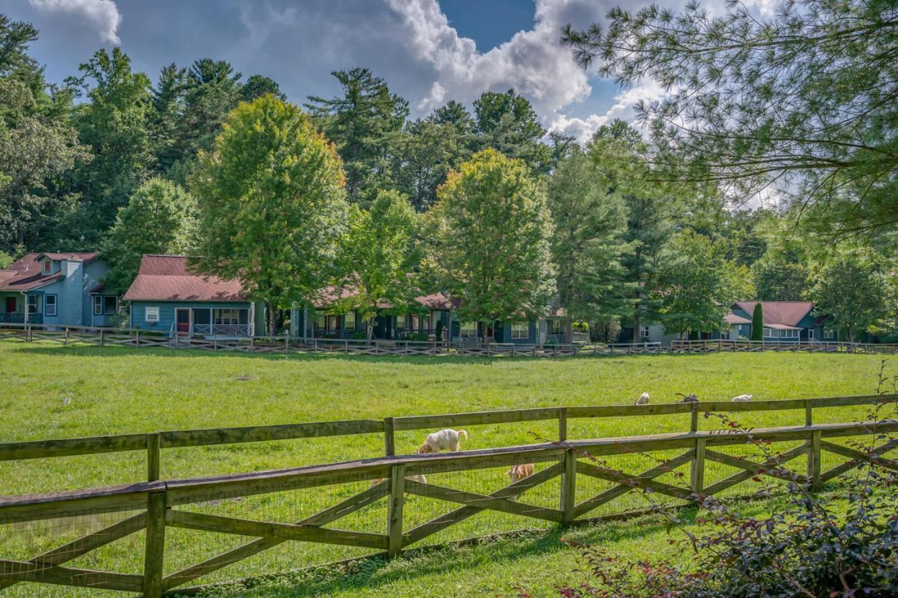 Buttercup Cottage Asheville Exterior photo
