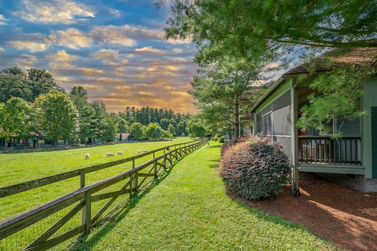 Buttercup Cottage Asheville Exterior photo